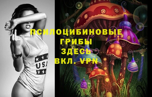 спиды Алексин