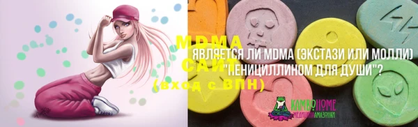 прущий лед Алзамай