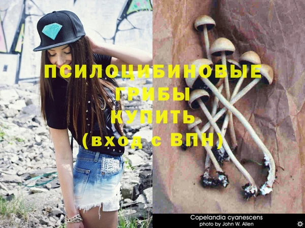 стафф Абинск
