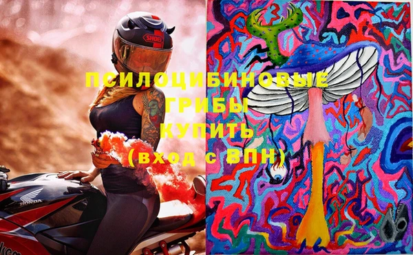 прущий лед Алзамай