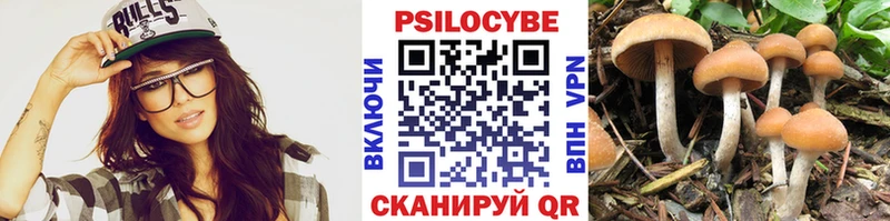 Галлюциногенные грибы мицелий Чебаркуль