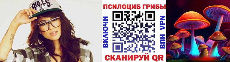 как найти наркотики  Чебаркуль  Псилоцибиновые грибы MAGIC MUSHROOMS 